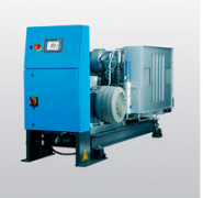 01.NL1000.130G.30.E.P.-英德諾曼頂軸油泵出口過濾...