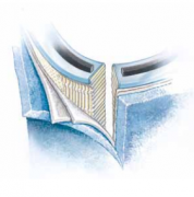 312649英德諾曼internormen回油站過濾器濾芯01.NL1...