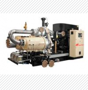 310881英德諾曼液壓油internormen濾芯01.E2001....